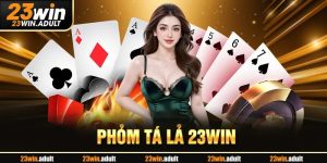 Phỏm Tá Lả - Hướng Dẫn Quy Trình Tham Gia Tại ku19 bet